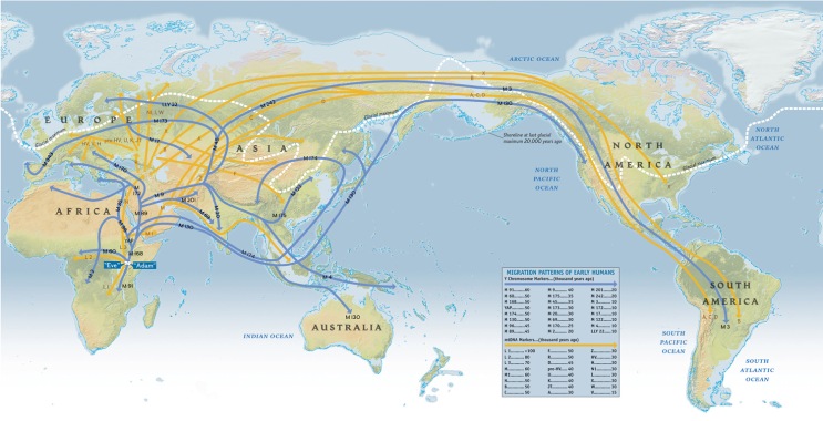 National Geographic Maps, Atlas of the Human Journey